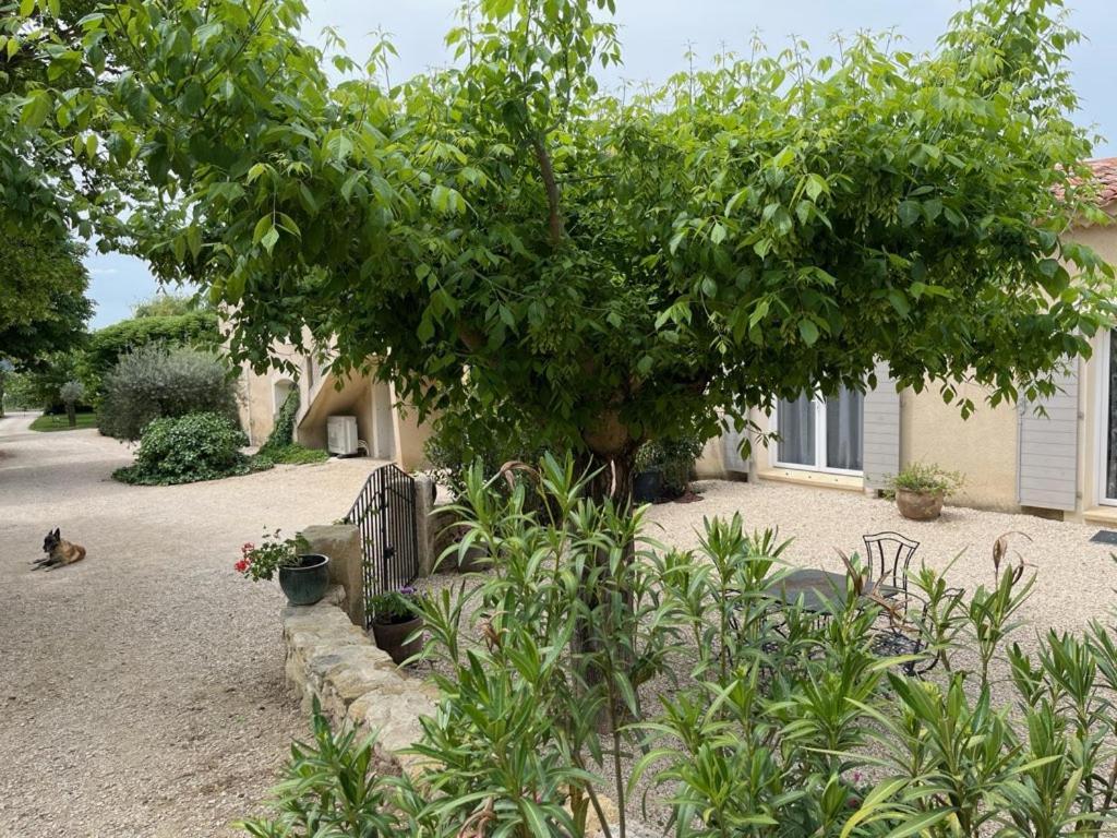 Vila Bastide Provencale Cadenet Exteriér fotografie